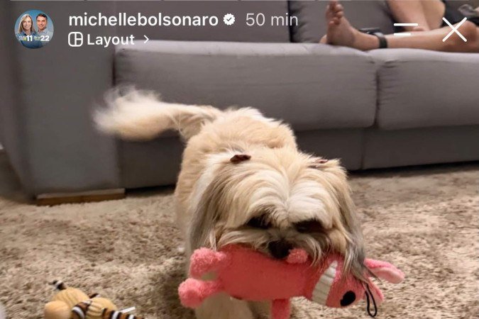 Foto publicada por Michelle Bolsonaro com a cachorrinha Meg