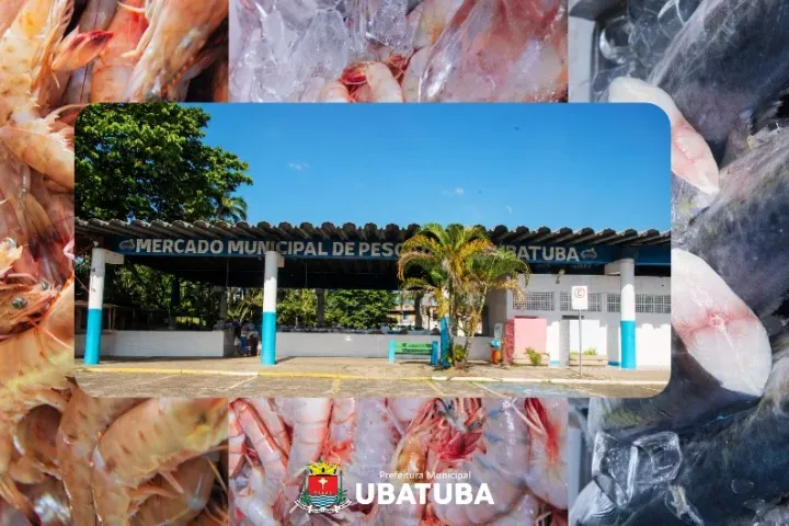 Mercado de Peixes na Ilha dos Pescadores, em Ubatuba